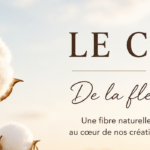 Le coton : tout savoir sur cette fibre naturelle, de la fleur au tissu